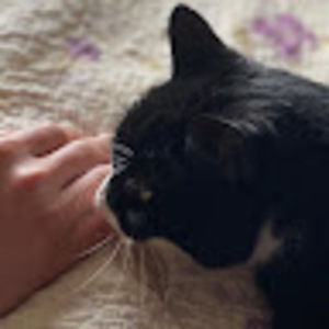 Meet your Posher, Olivia